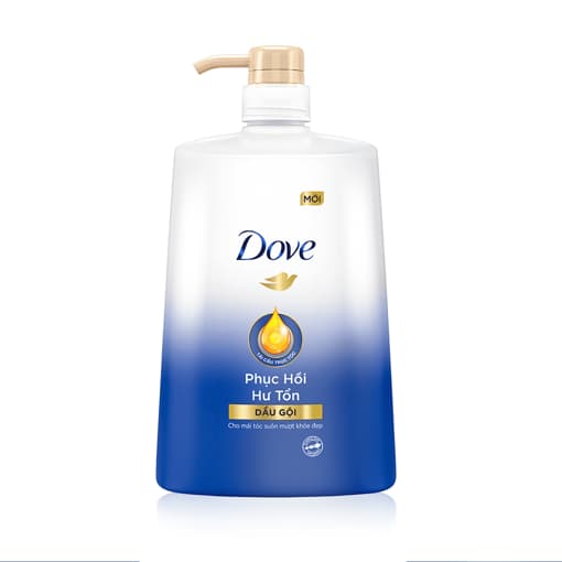 Dầu gội Dove 880g